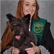 He estudiado la carrera de veterinaria, me encanta enseñar y le daría clases primaria y la ESO